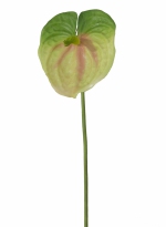 Anthurium Spray 77cm